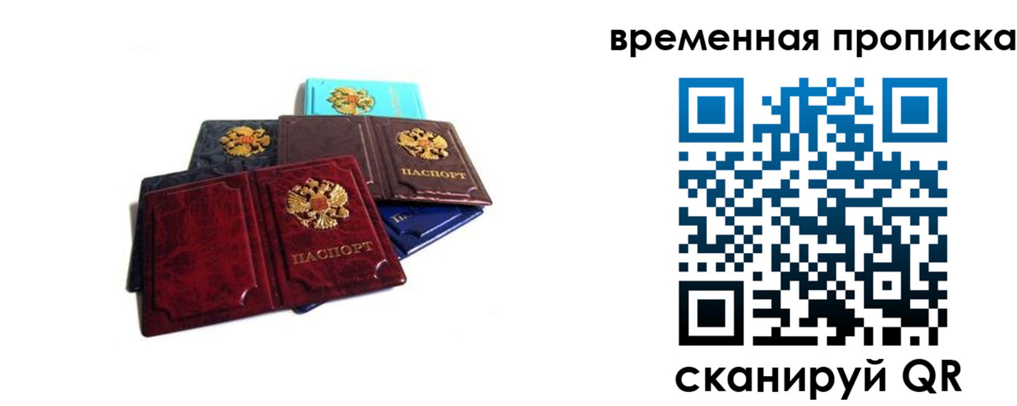 прописка законно в Советске